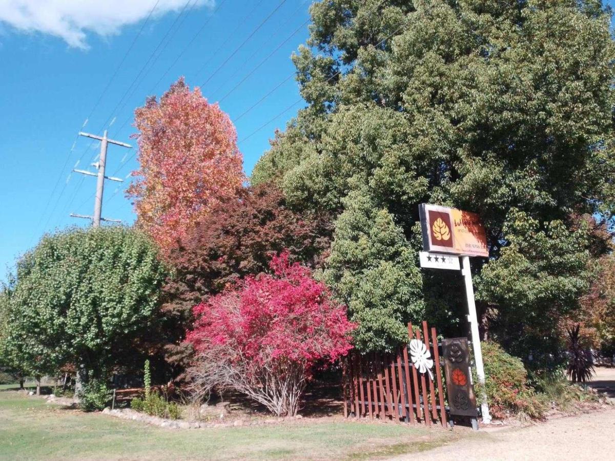 Buffalo Motel And Country Retreat Porepunkah Exterior foto